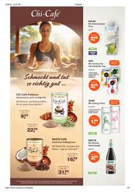 Prokopp Flugblatt Seite 2