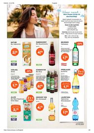 Prokopp Flugblatt Seite 3