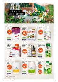 Prokopp Flugblatt Seite 6