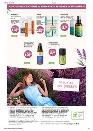 Prokopp Flugblatt Seite 8