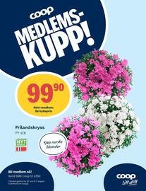 Coop Prix Kundeavis uke 27 Side 10