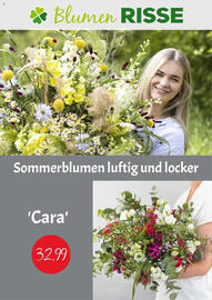 Blumen Risse Prospekt Seite 1