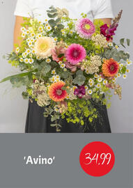 Blumen Risse Prospekt Seite 3