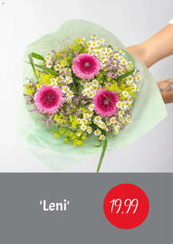 Blumen Risse Prospekt Seite 4