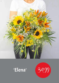 Blumen Risse Prospekt Seite 5