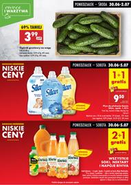Biedronka gazetka tydzień 27 Strona 3