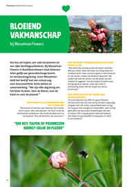 Jumbo folder week 27 Pagina 16