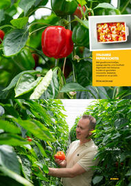 Jumbo folder week 27 Pagina 27
