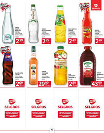 Selgros gazetka Strona 13