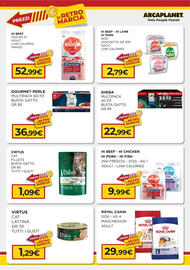 Volantino Arcaplanet Pagina 3