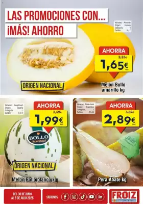 Folleto FROIZ (válido hasta el 6-07)