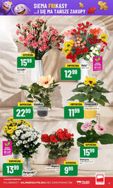 Polomarket gazetka tydzień 27 Strona 5