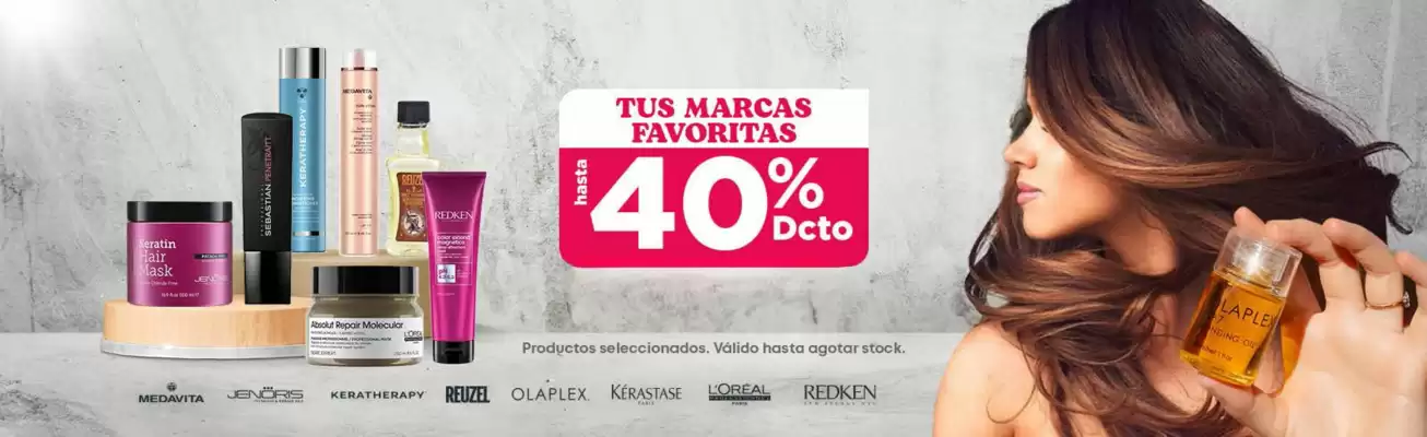 Catálogo Palumbo (válido hasta 15-07)