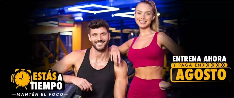 Catálogo Smart Fit (válido hasta 1-08)