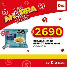 Catálogo Supermercados DIA Página 5