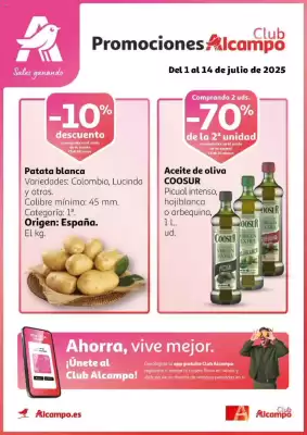 Folleto Alcampo (válido hasta el 14-07)