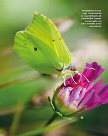 Fressnapf Flugblatt Seite 13