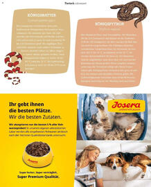 Fressnapf Flugblatt Seite 31