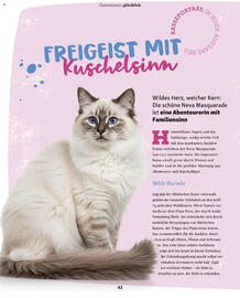 Fressnapf Flugblatt Seite 42