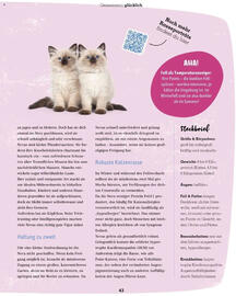 Fressnapf Flugblatt Seite 43