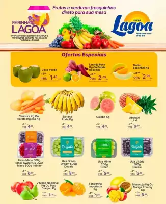 Catálogo Super Lagoa (válido até 1-07)