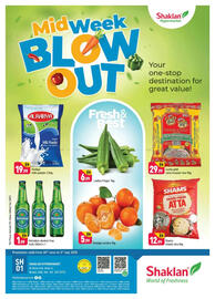 Shaklan catalogue Page 1