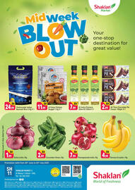 Shaklan catalogue Page 1