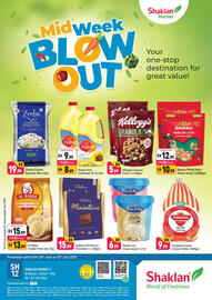 Shaklan catalogue Page 1