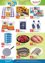 Shaklan catalogue Page 2