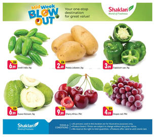 Shaklan catalogue Page 3