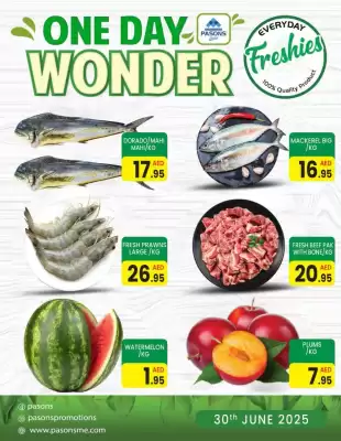 Pasons catalogue (valid until 30-06)