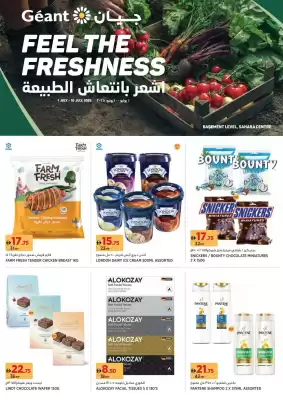 Géant catalogue (valid until 10-07)