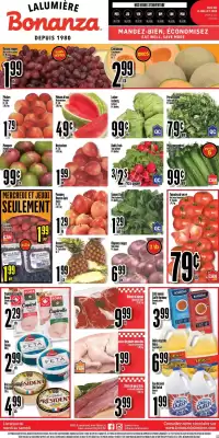 Bonanza flyer (valid until 9-07)
