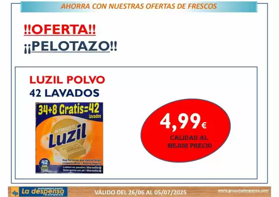 Folleto La Despensa Express (válido hasta el 5-07)
