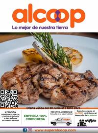 Folleto Super Alcoop semana 27 Página 1