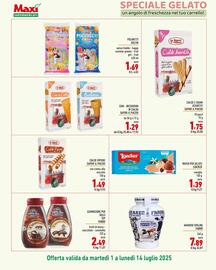 Volantino Maxi Supermercati Pagina 13