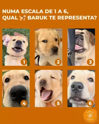 Catálogo Cobasi (válido até 1-07)