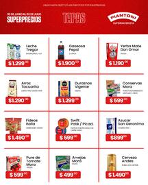 Piantoni Supermayorista semana 27 Página 2