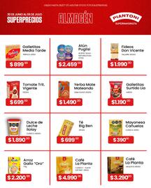 Piantoni Supermayorista semana 27 Página 3