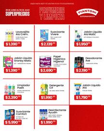 Piantoni Supermayorista semana 27 Página 5