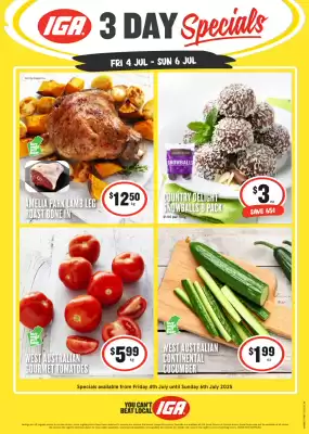 IGA catalogue (valid until 6-07)