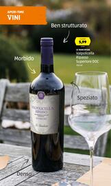 Volantino ALDI | Grill and Chill Pagina 15