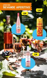 Volantino ALDI | Grill and Chill Pagina 17