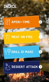 Volantino ALDI | Grill and Chill Pagina 3