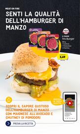 Volantino ALDI | Grill and Chill Pagina 33