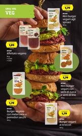 Volantino ALDI | Grill and Chill Pagina 41