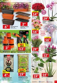Twój Market gazetka tydzień 26 Strona 3