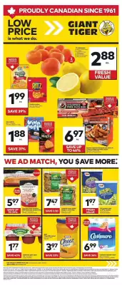 Giant Tiger flyer (valid until 9-07)