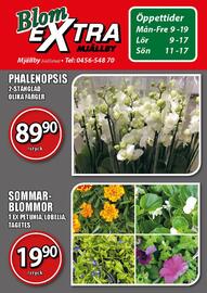 Extra Mjällby Stormarknad reklamblad vecka 27 Sida 14