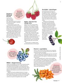 Hemköp reklamblad Sida 17